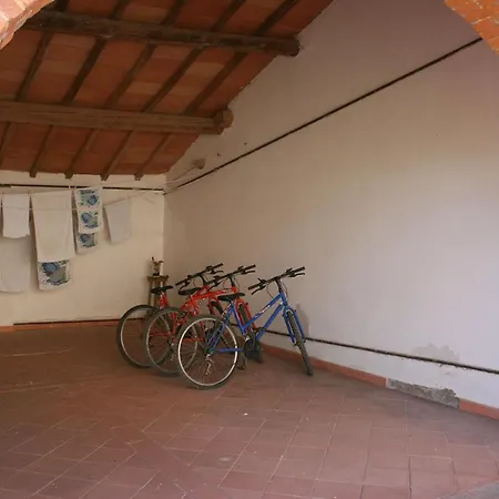 Fattoria Le Chianacce 公寓 哥尔顿