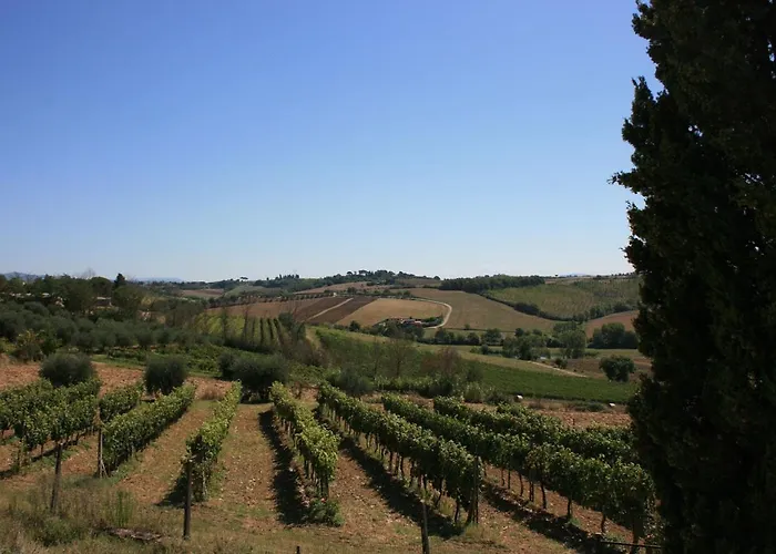 Fattoria Le Chianacce * Cortona