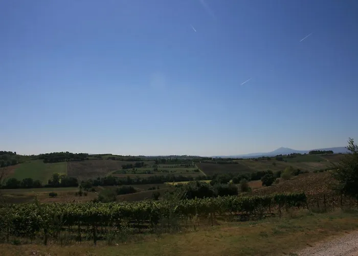 Fattoria Le Chianacce Apartment